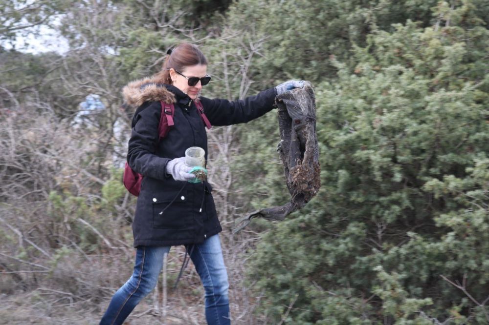 ����������� ������������ ��������������� � ���������������� ����������� �������������� � ���������� ����������