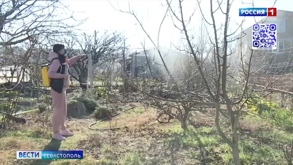 � ����������� ������� ���� ������, ������� � ���� �����