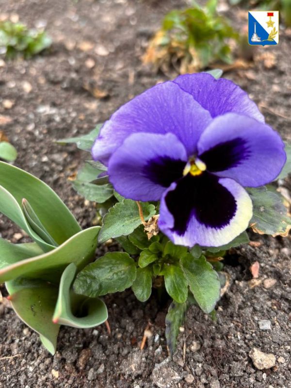 ������ ����, ������� �����������!