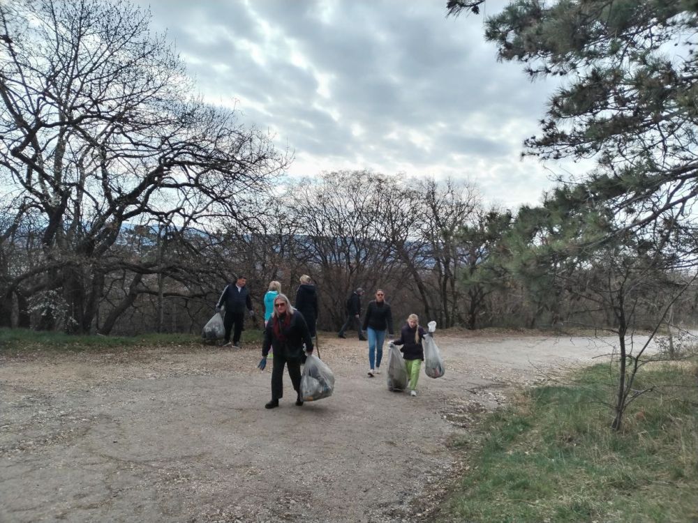 �������� ��������: ������� �� ��������� ����������� ������ ����������� ������� ������������� ���������� � ����������� ���������� ������������� ����������