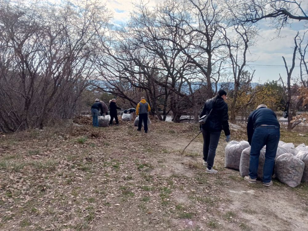 �������� ��������: ������� �� ��������� ����������� ������ ����������� ������� ������������� ���������� � ����������� ���������� ������������� ����������