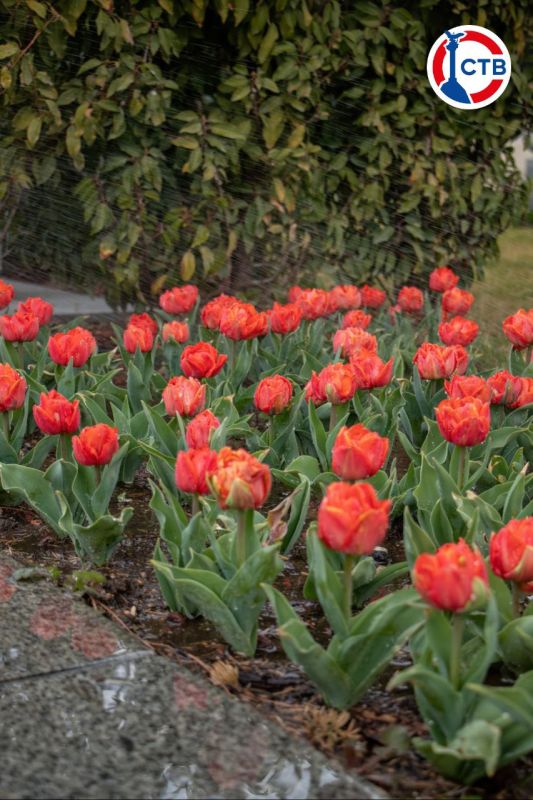 �� ���������� �������� �������� ��������