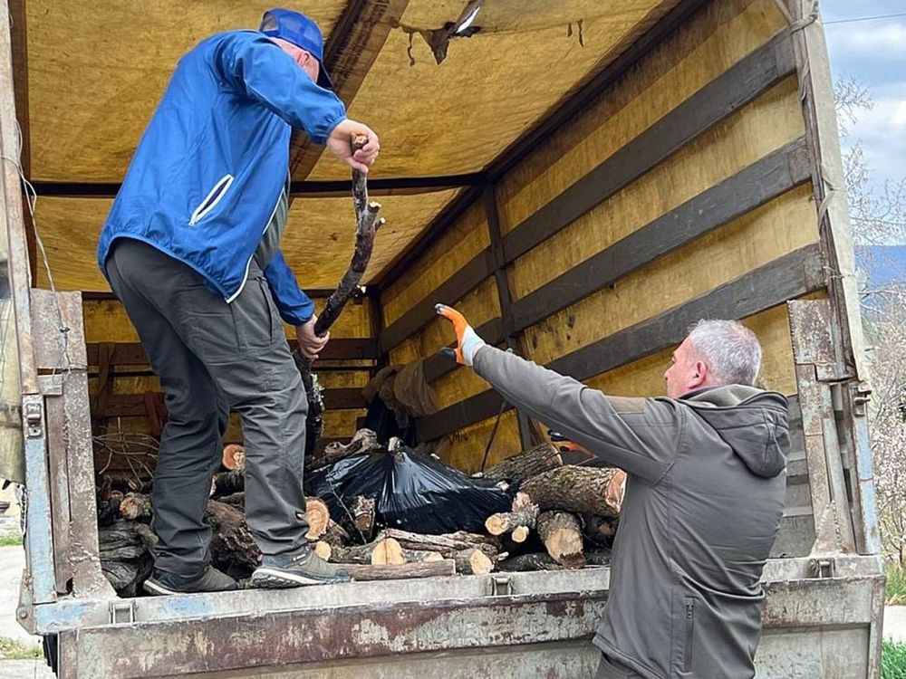 ������� �����: ������� � ����������� �������� ������������� ����������