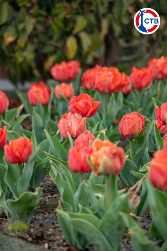 �� ���������� �������� �������� ��������