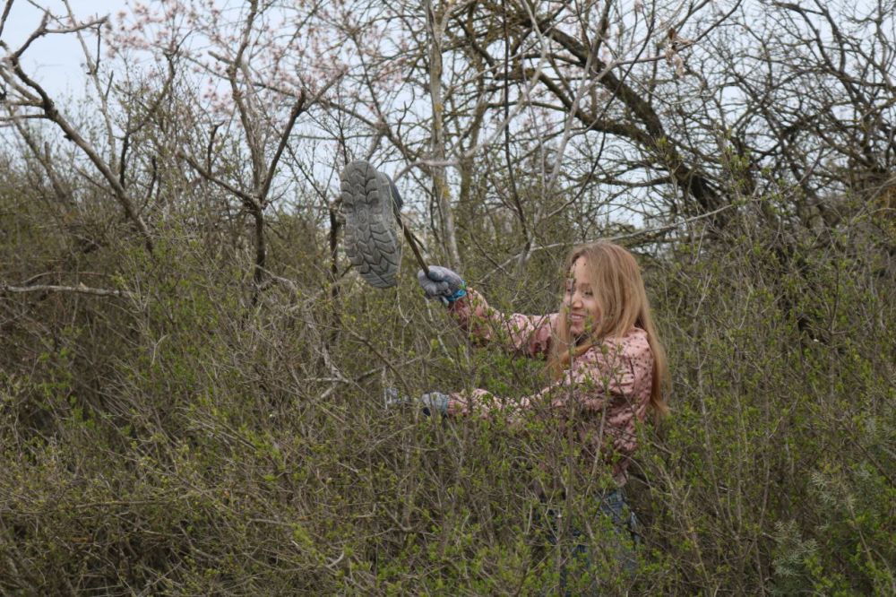 ����������� ������������ ��������������� � ���������������� ����������� �������������� � ���������� ����������