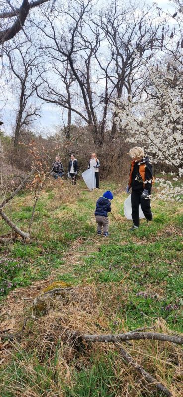 ���������� ���������� ������� � �� ��������� ��������� ������� ������� � ������������� ����������