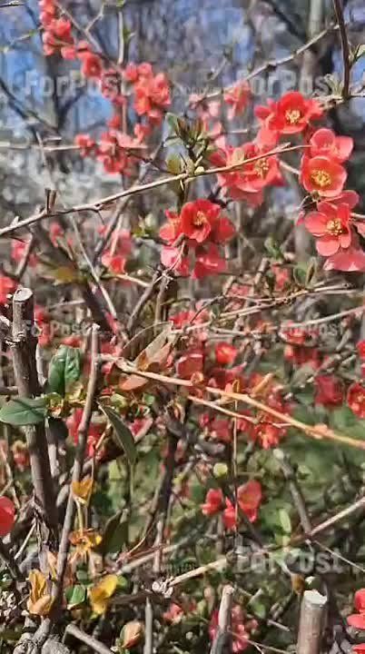 ����������� ������� � ����������� �������� ��������, �� ����� ����������