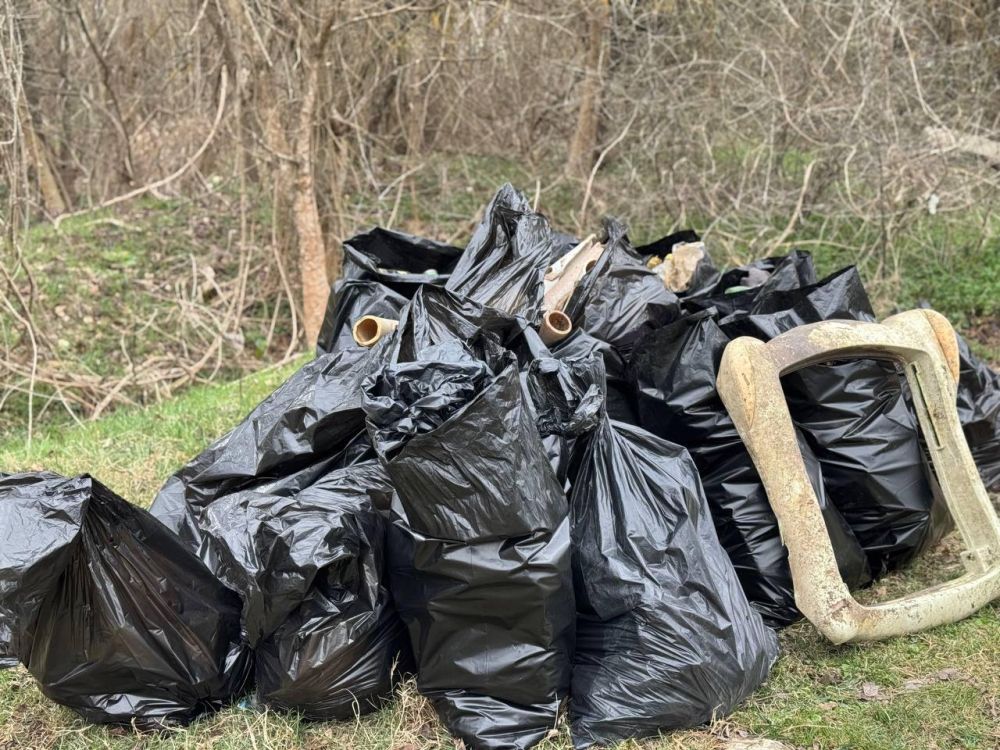 ������� �����: ������� � ����������� �������� ������������� ����������