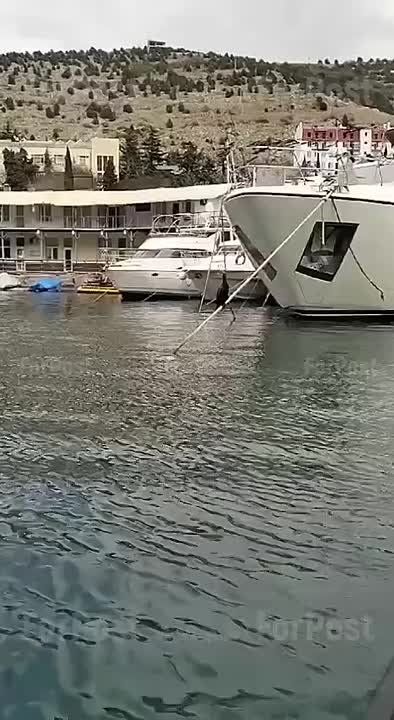 ������ �������, ������� ���������, �������� ������� ��������, ������� �����-��������