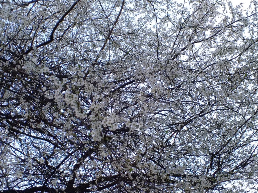 ������� ������ � ����� �� 22 �����