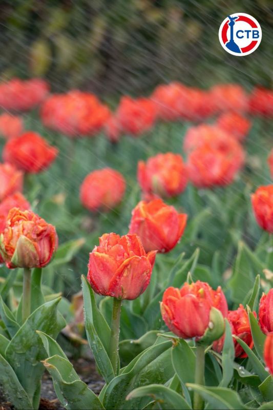 �� ���������� �������� �������� ��������