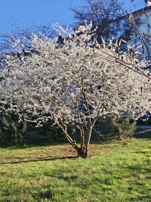 � ������ ��������� �����, ������!