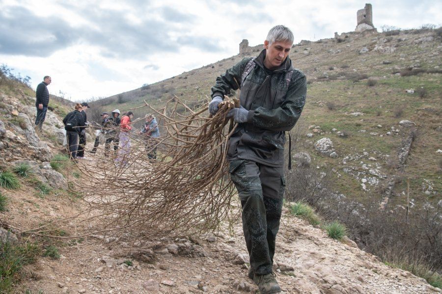 ����� ������ ����������, 34 �������� ����������, ����� 350 ���������� ������: ����� ������� ��������� ���������� � �����������