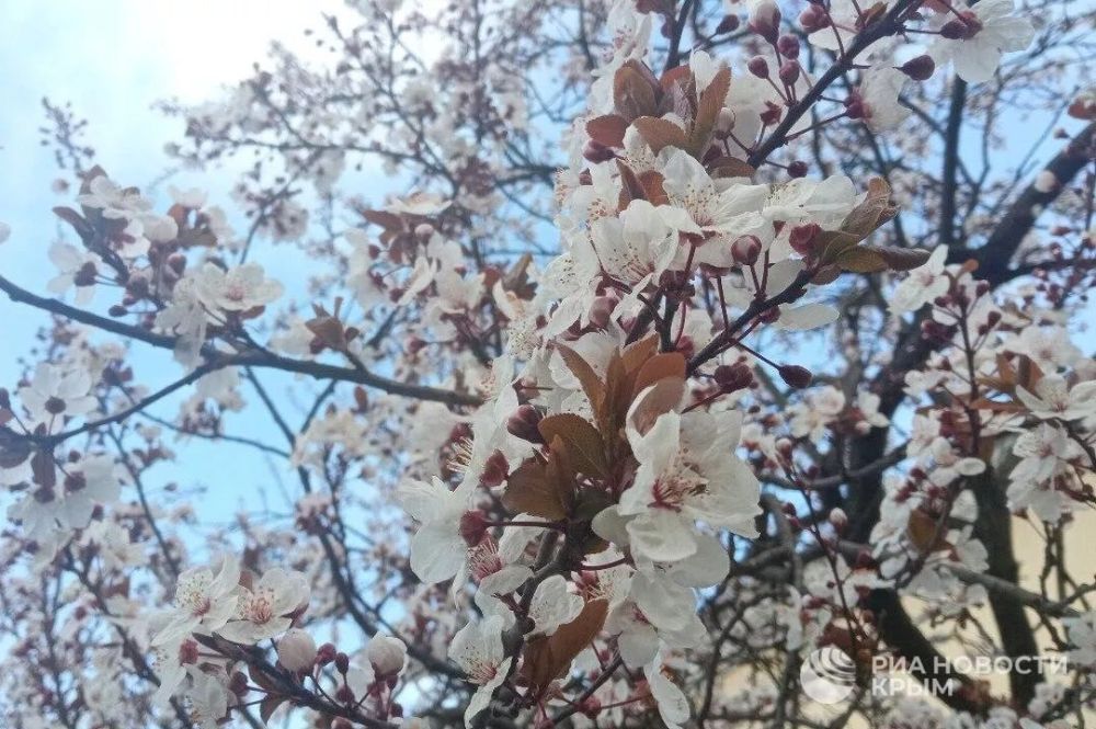 ������� ������ � ����� �� �����������