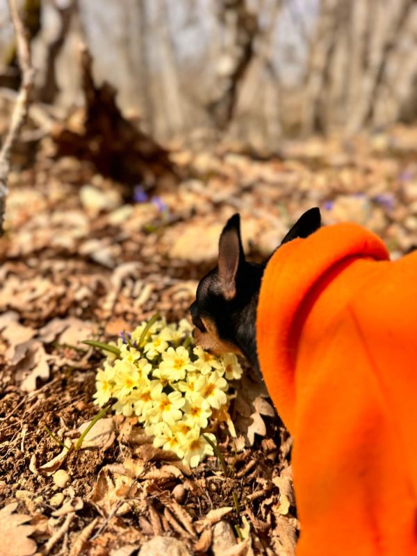 ���� �����������: ������� �� �������� ����������� ����� ���������� ������, � ��� �������� ����� ����������� � ����� �� ������ ������