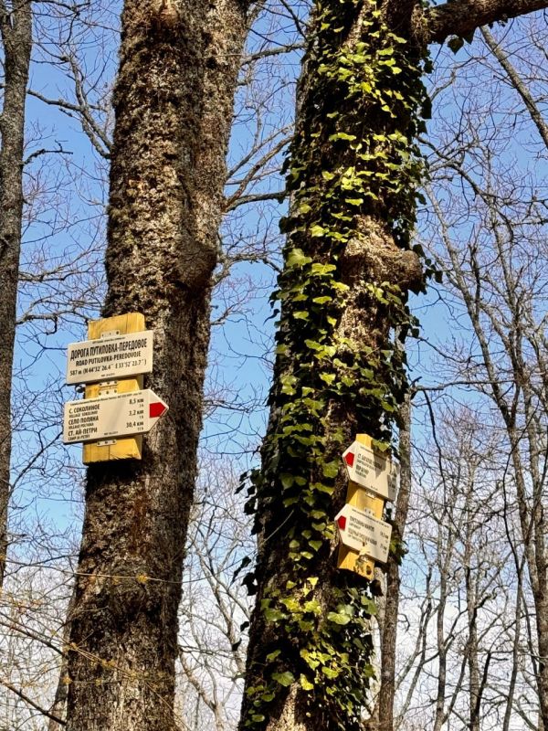 ���� �����������: ������� �� �������� ����������� ����� ���������� ������, � ��� �������� ����� ����������� � ����� �� ������ ������