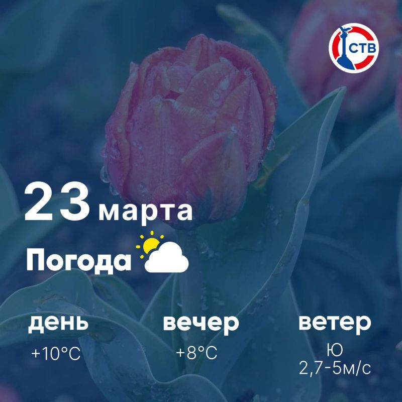 ������ ����, �������������! �������, 23 �����, ��������� ������� �������� ������