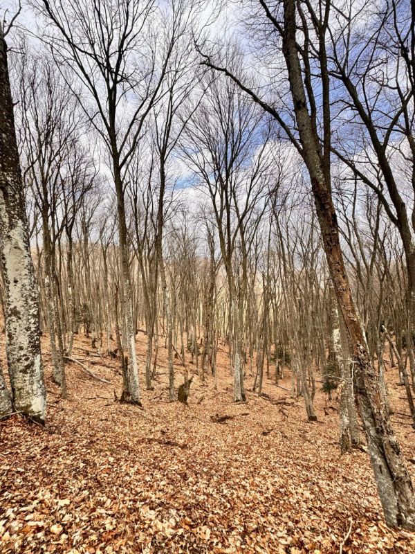 ���� �����������: ������� �� �������� ����������� ����� ���������� ������, � ��� �������� ����� ����������� � ����� �� ������ ������