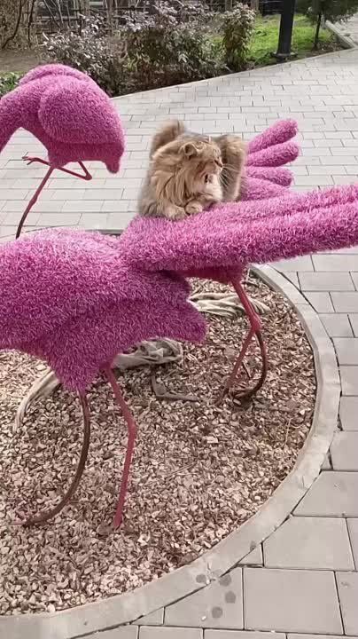 ������� ����������� ����!