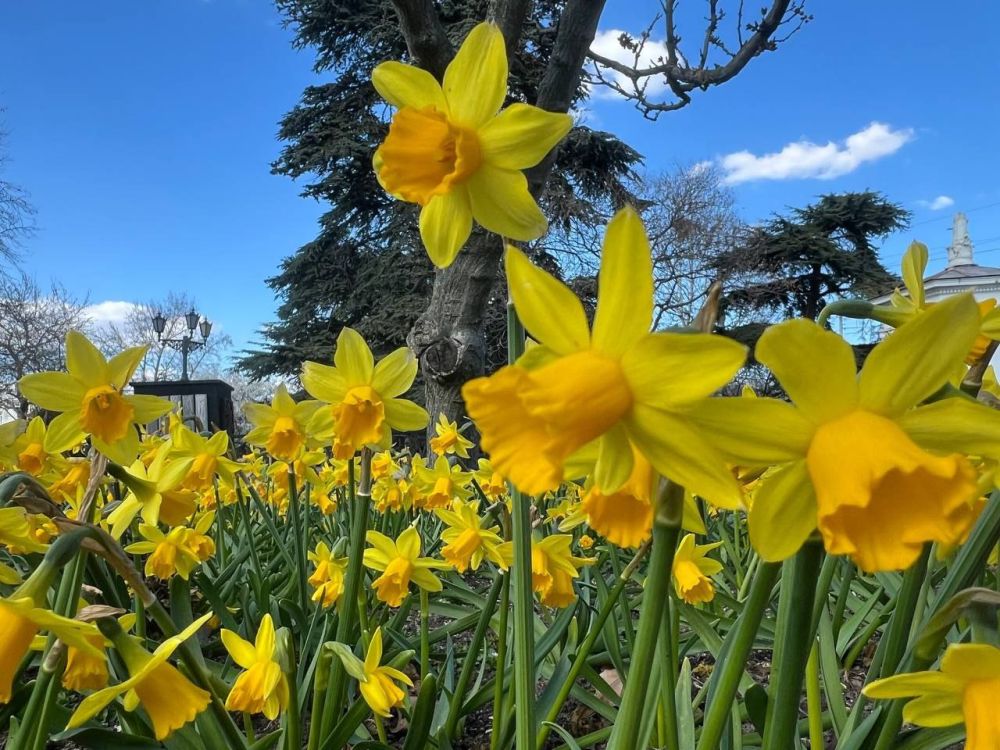 ������ � ����������� 23 �����