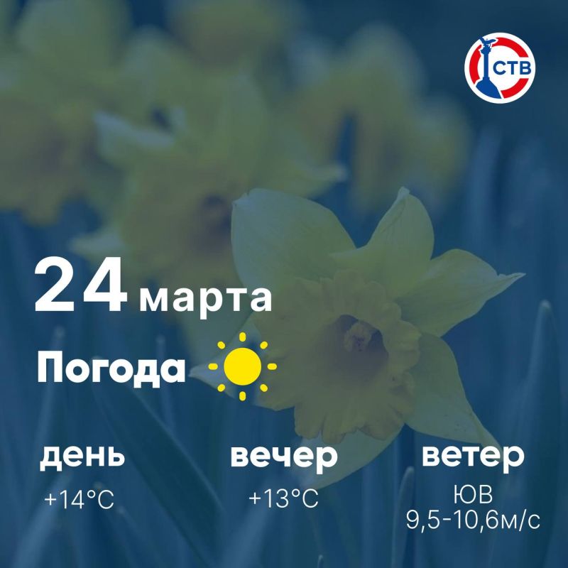 ������ ����, �������������! �������, 24 �����, ��������� ������� ��������� ������