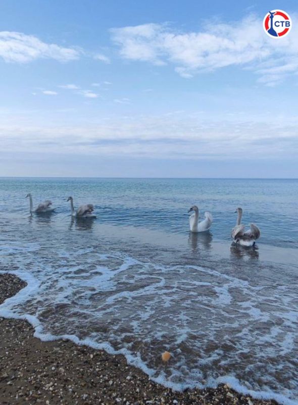 ������ � ����������� � ��������� ��������� ��������� ����