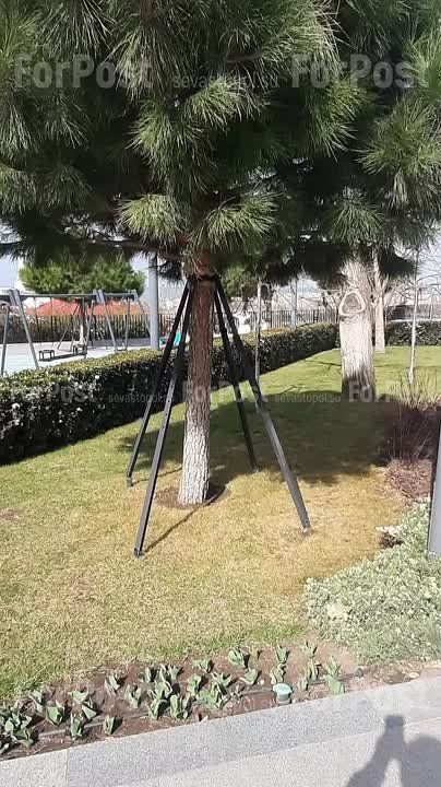 �� ���������� �������� ���������� ����� ��� �������