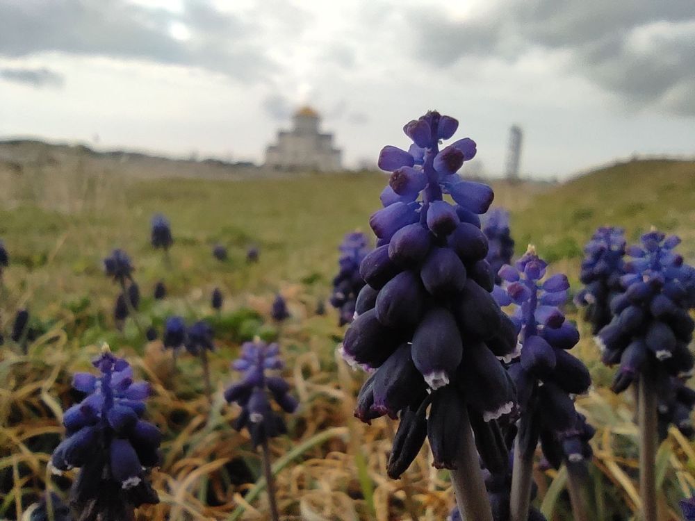 ���� ������� ������ ������