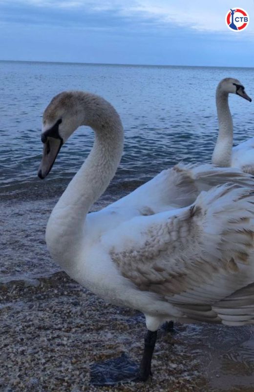 ������ � ����������� � ��������� ��������� ��������� ����