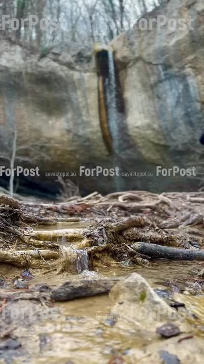 �������� ������� ������ � �����������