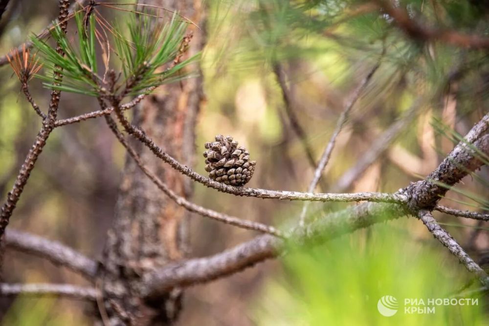 ������� ������ � ����� �� �����������