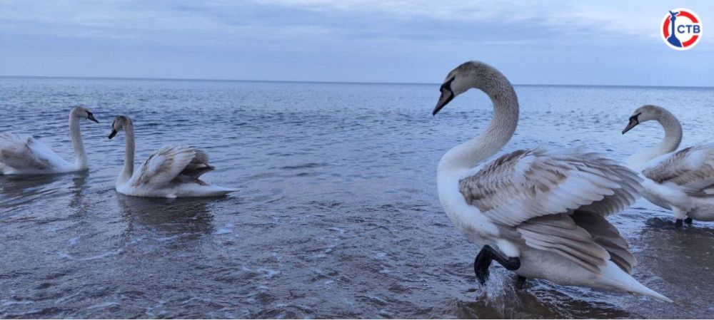 ������ � ����������� � ��������� ��������� ��������� ����