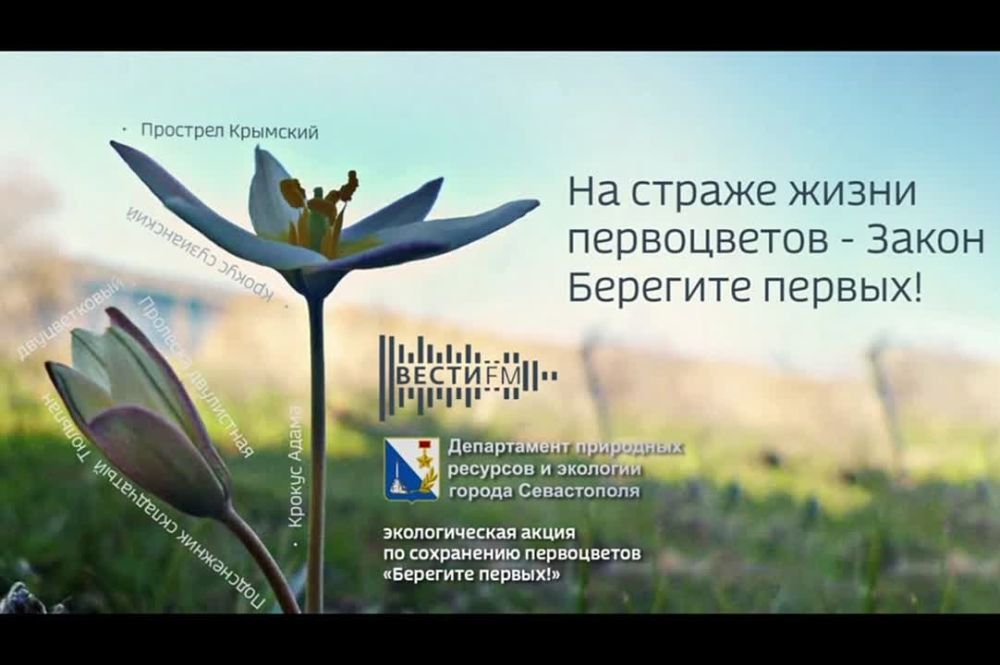 Департамент природных ресурсов и экологии города Севастополя совместно с Вести FM представляет совместный проект приуроченный к экологической акции по сохранению первоцветов "Берегите Первых"