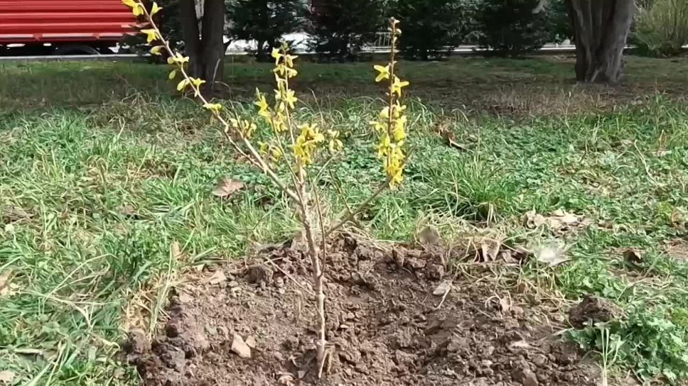 ���������� ��� ������ � ������� �������� ����� ������ ����� ������� ����� �������� �� ��������