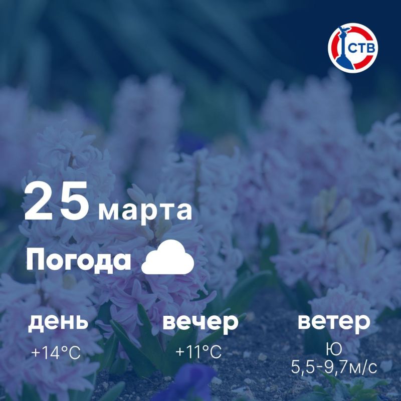 ������ ����, �������������! �������, 25 �����, � ������ �������