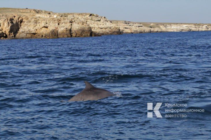 ����������� ��������� ������ �������� ��������� ������������ ���� ������� ������������� ������ ���������� ����� � ������������ ������