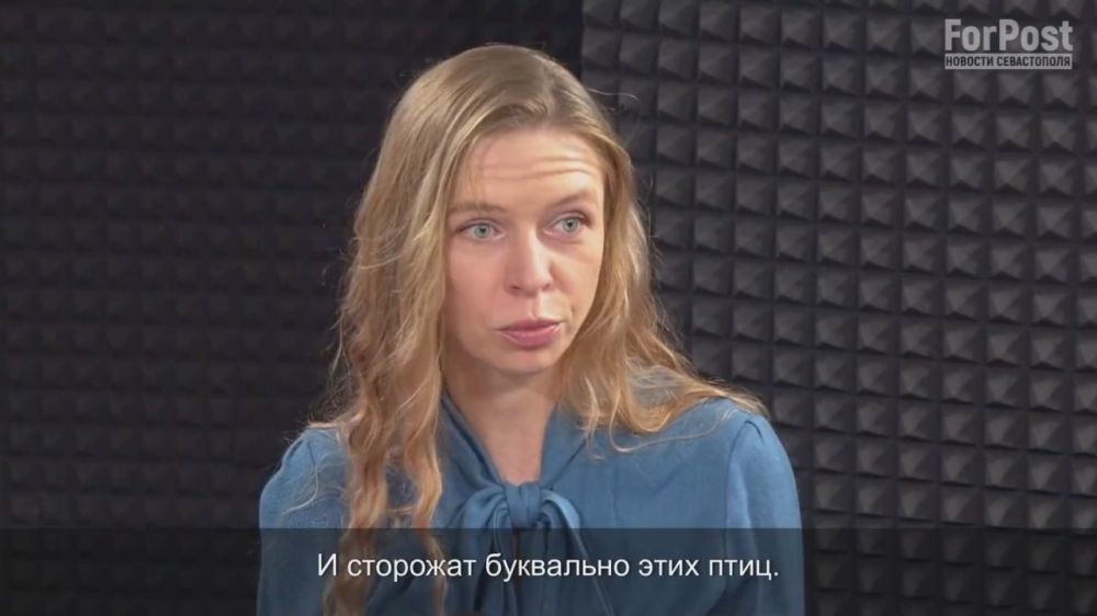 Спустя 3 месяца после разлива мазута в Черном море о проблеме вспоминают намного реже