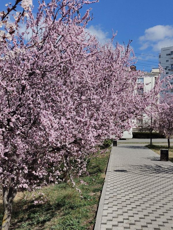 ������� ����. �� ������� � ����������� ����� ����� 13-18�/�