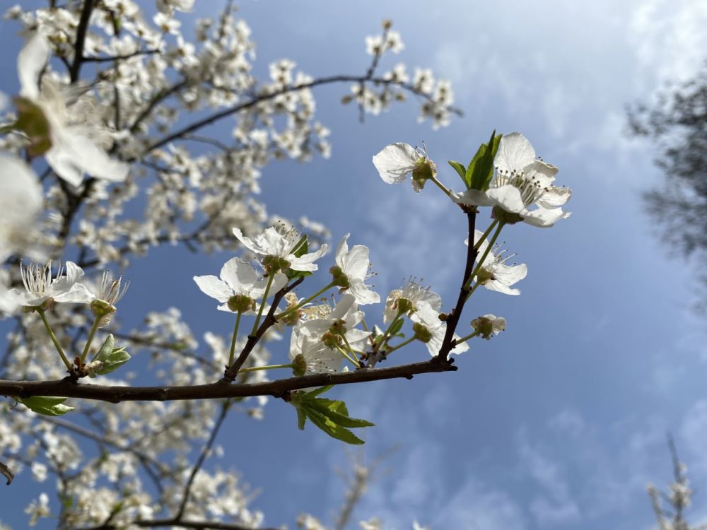 ������� ������ � ����� �� 25 �����