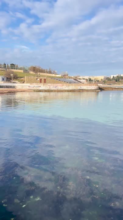 #���_�����. ��������� ���� ������