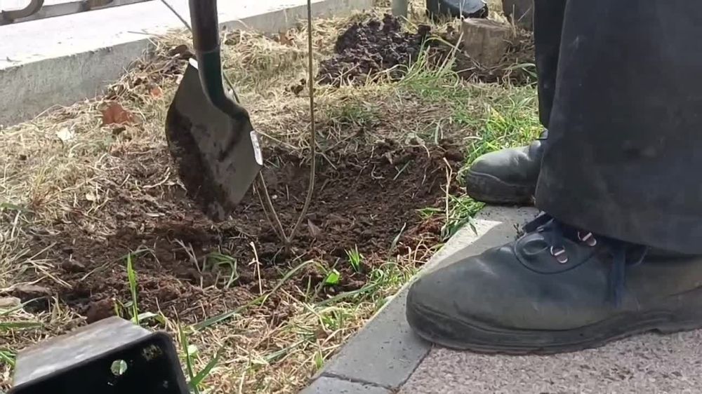 ����� ������ ����� ������� ��������� ����� �������� �� ��������