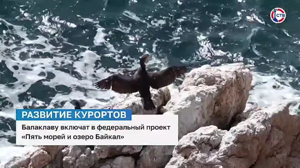 ��������� �������� � ����������� ������ ����� ����� � ����� ������