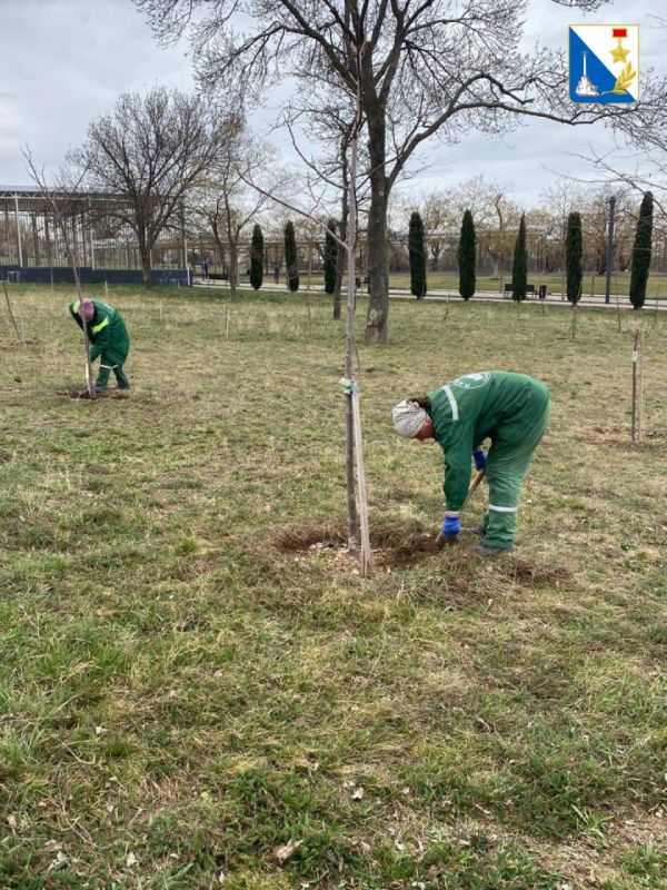 � ������ � ������� ����������� ��������� ������ ������ � ����������� ��������� �� ������� ������������, ���������� �������� � ���������� ������� ��������