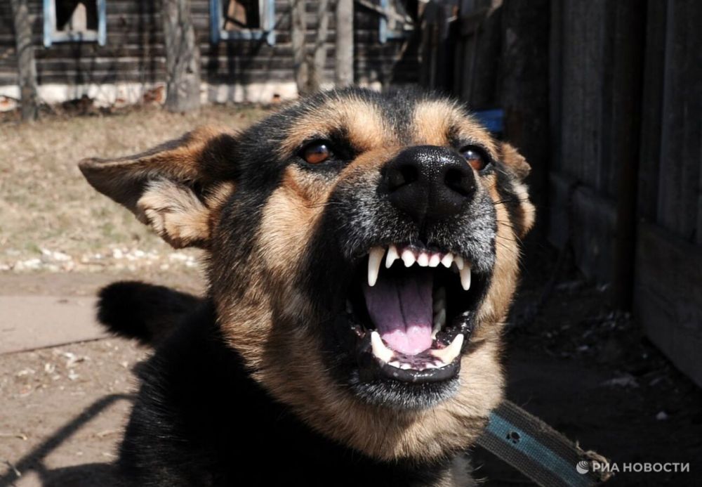 � ����������� � ����������� ������� ����������� ������ �������� �� ��������� ��������