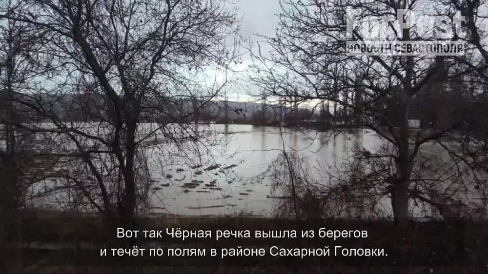 � ����������� ��������� ����� � ������� ���� ��� � �����, ������ � ��������, ����� �������� ���������� ������������� ������