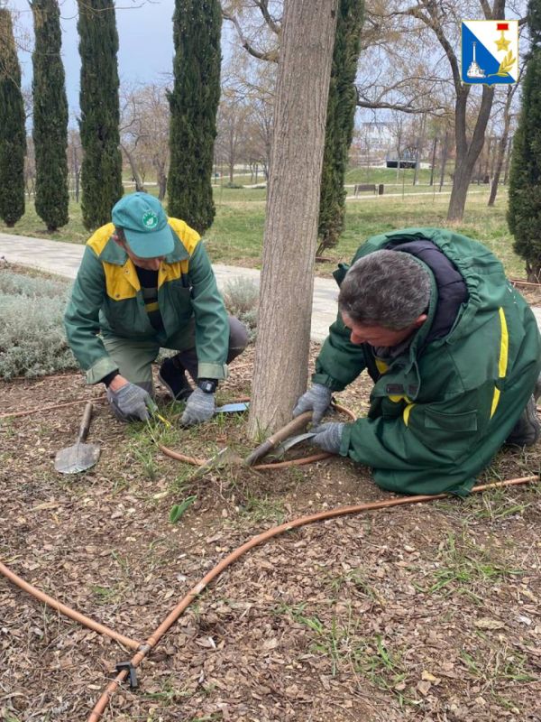 � ������ � ������� ����������� ��������� ������ ������ � ����������� ��������� �� ������� ������������, ���������� �������� � ���������� ������� ��������