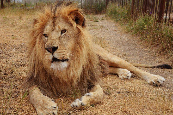 � �������� �� ����� ������������ ���� �������