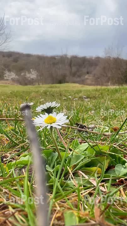 ������ ���������� �� ���������� ����