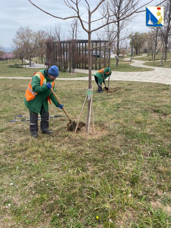 � ������ � ������� ����������� ��������� ������ ������ � ����������� ��������� �� ������� ������������, ���������� �������� � ���������� ������� ��������