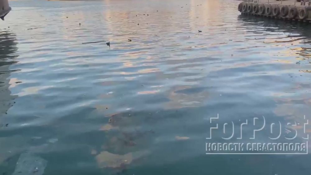 «Главная моя эмоция в том, что я устал от этого позора»